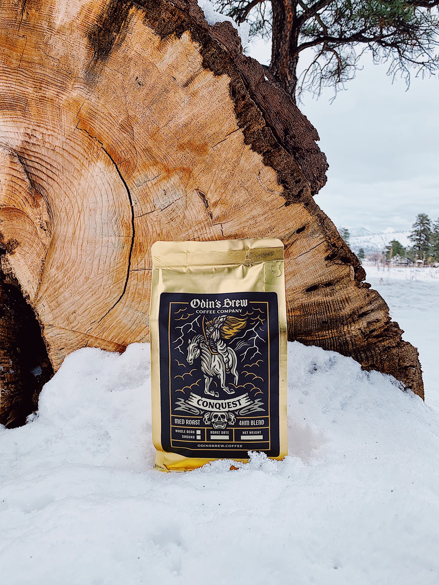 CONQUEST (Medium Roast) - Odin's Brew